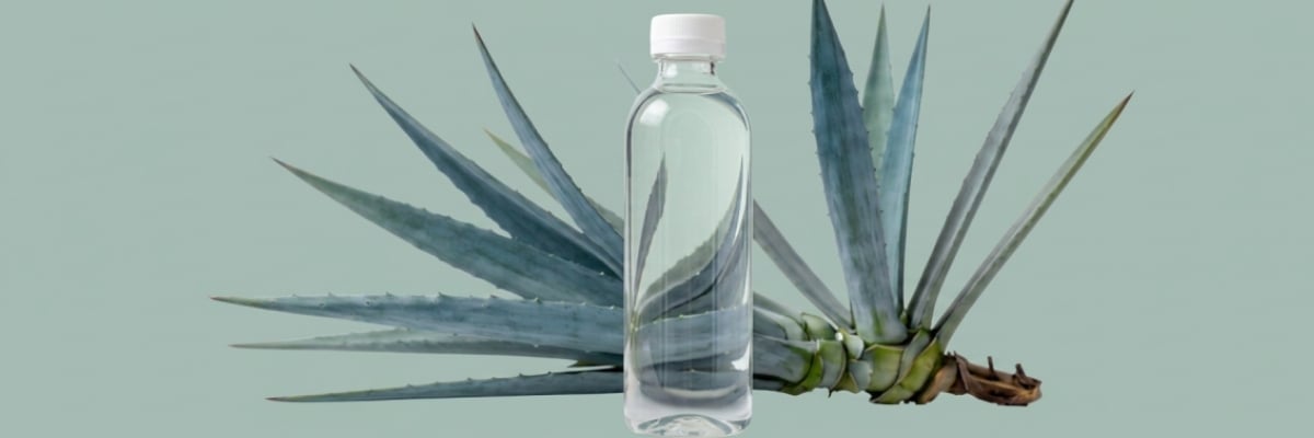 Inulina de agave líquida INUZEN 60-65 Brix — presentación industrial B2B exclusiva