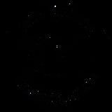 Low contrast image showing a lions head silhouette or outline against a dark background